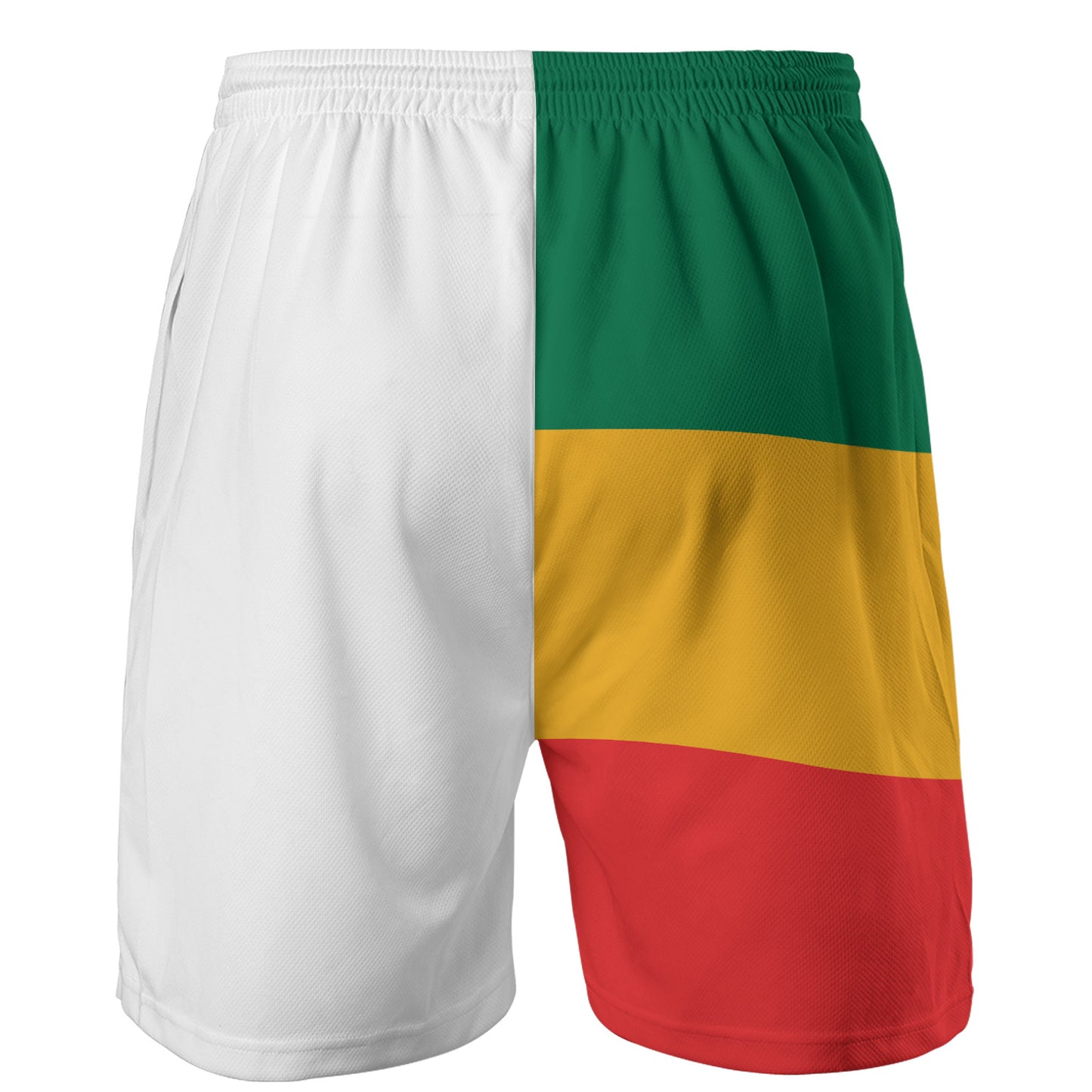 Lion Of Judah Athletic Rasta Shorts
