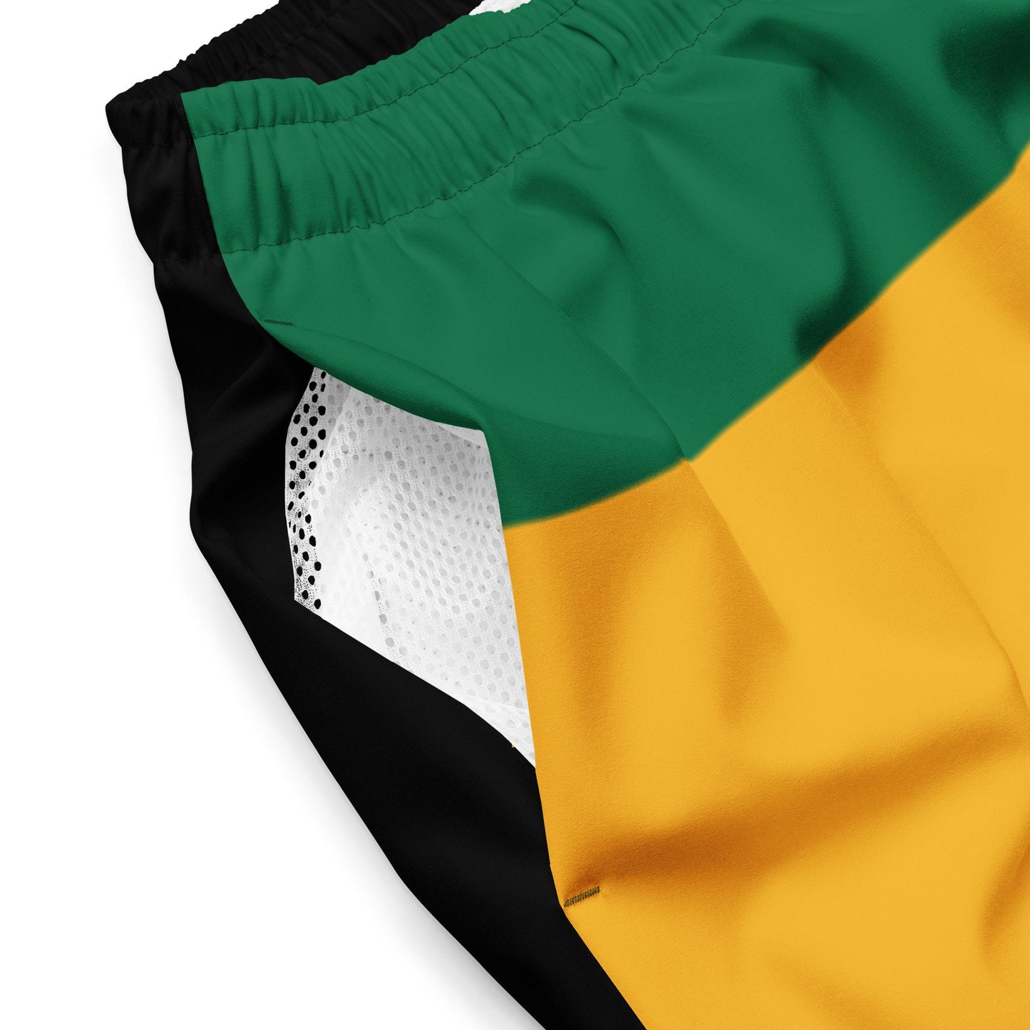 Lion of Judah Swim Trunks