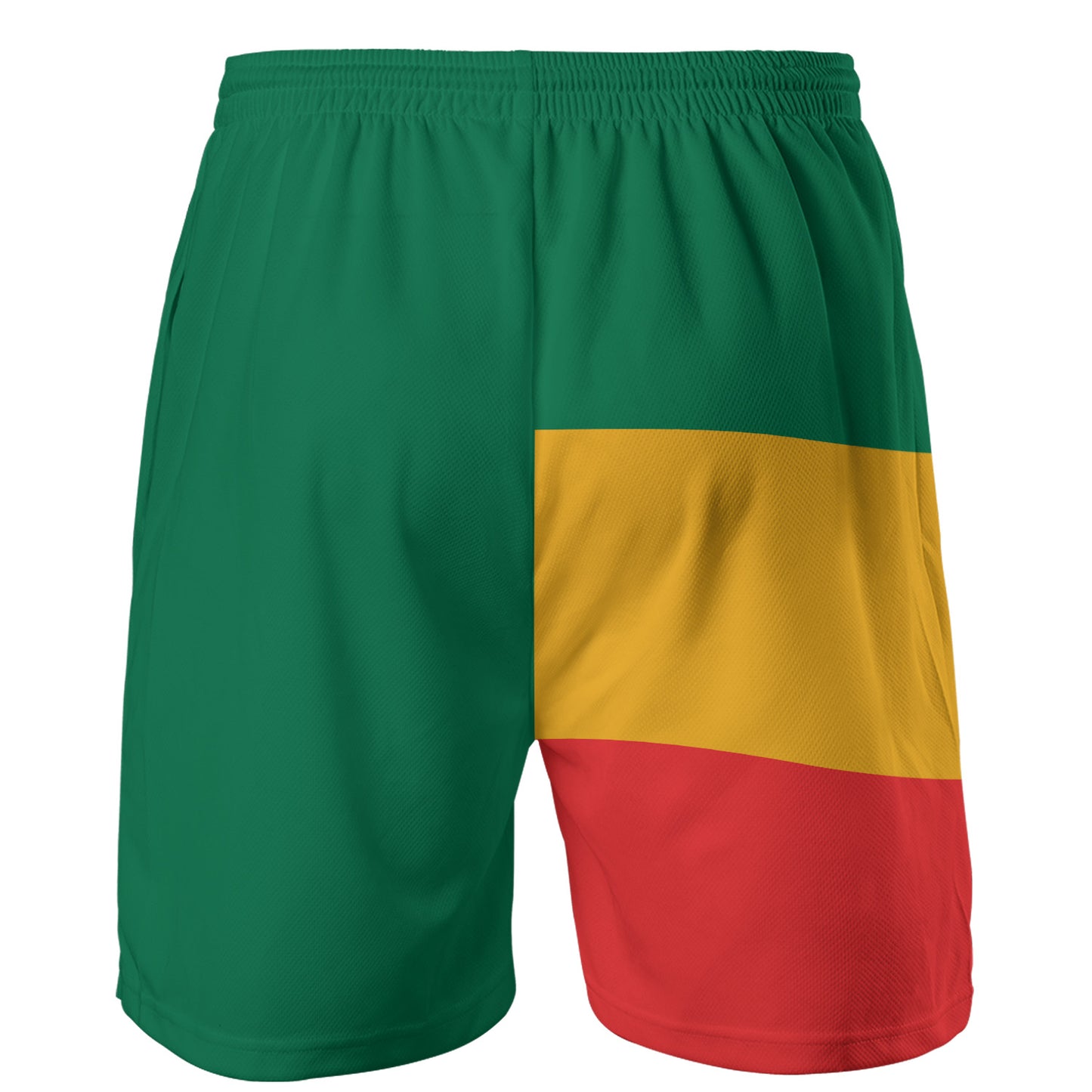 Lion Of Judah Athletic Rasta Shorts