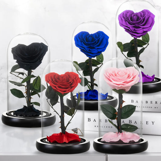 "Eternal Blossom" Preserved Rose in Glass Dome + Gift Box