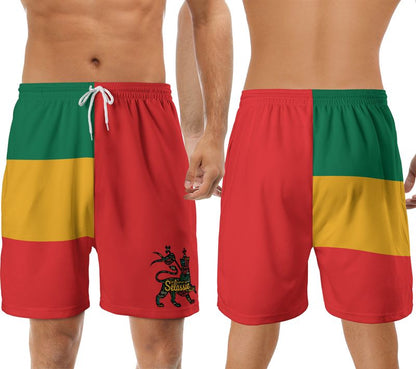 Lion Of Judah Athletic Rasta Shorts