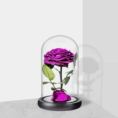 "Timeless Elegance" Preserved Rose in Glass Dome with Wooden Base - Perfect Romantic Gift for Her