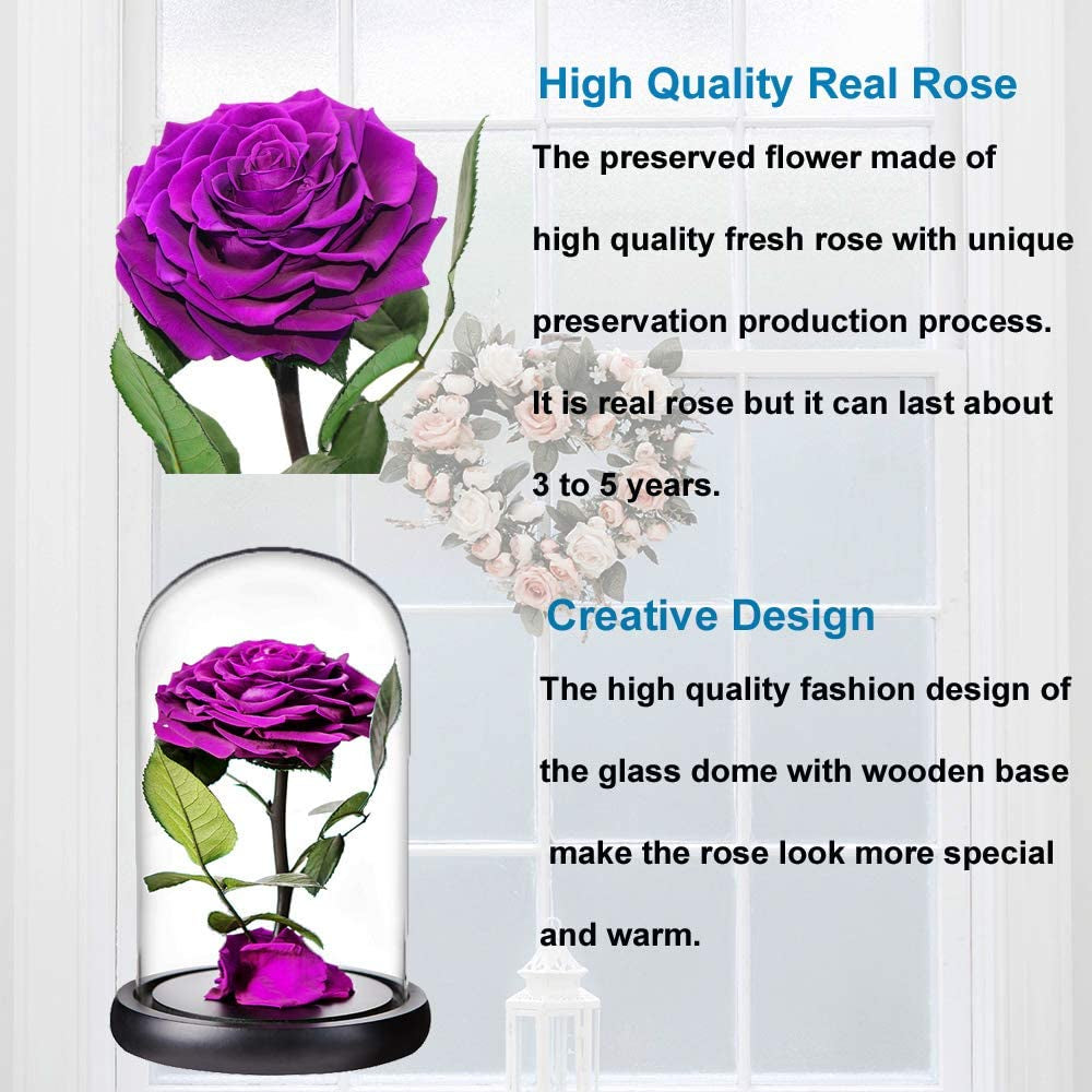 "Timeless Elegance" Preserved Rose in Glass Dome with Wooden Base - Perfect Romantic Gift for Her